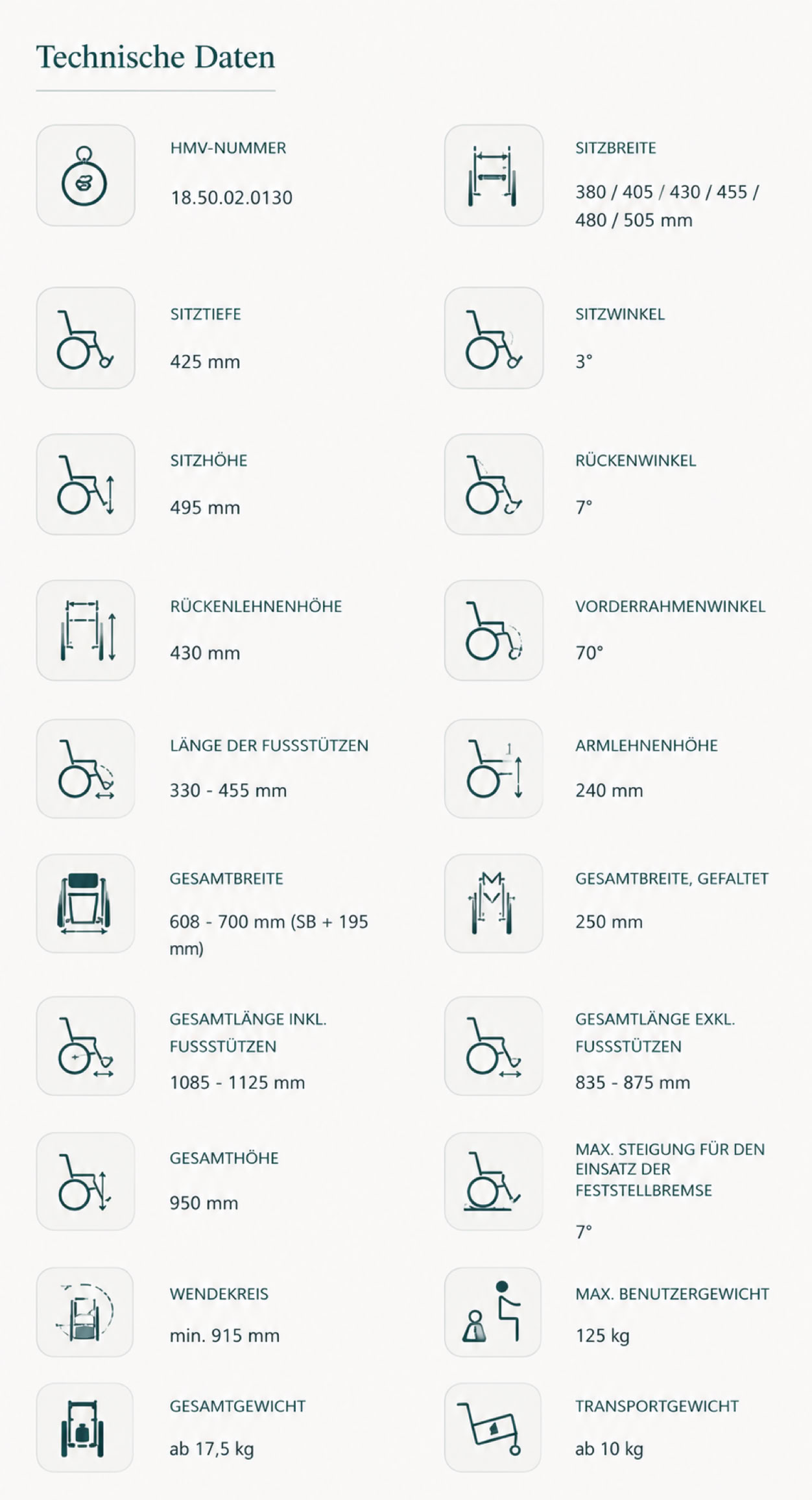 Liste technischer Daten mit Symbolen und Text in zwei Spalten.
